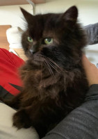 /album/14-03-2026/whatsapp-image-2026-03-13-at-16-35-15-2-jpeg/